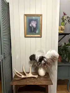 Пенеснарь - 114