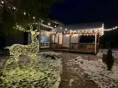 Пенеснарь - 79