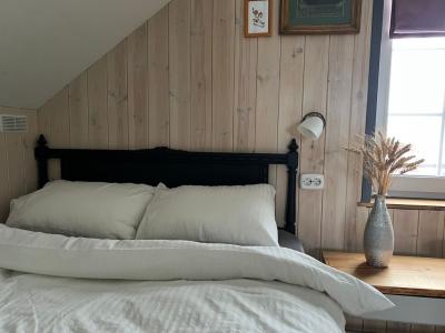 Пенеснарь - 118