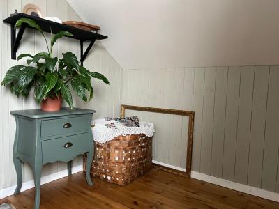 Пенеснарь - 119