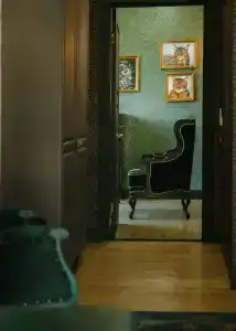Зелёная Сова - 6