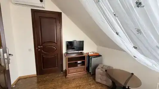 Сильвер - 10