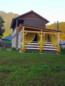 Ель и Кедр - 4