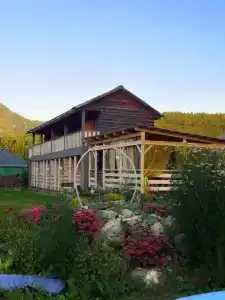 Ель и Кедр - 6