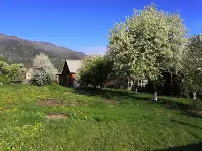 Ель и Кедр - 9