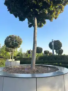 Rich House - 34