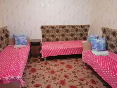 У Елены - 66