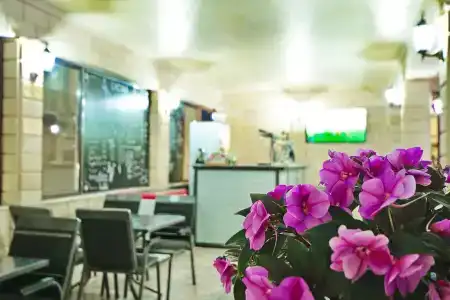 Diva plaza - 31