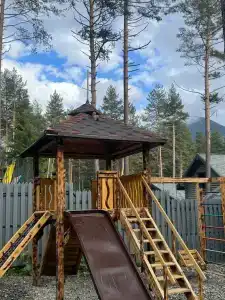 Сосновка - 53
