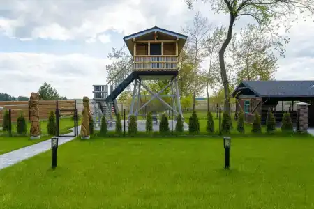 Зубровка в Беловежской пуще - 1