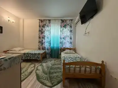 Афелия - 7