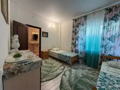 Афелия - 8