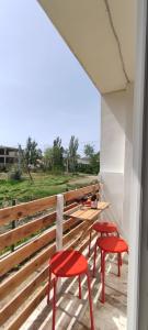 АкваМята - 13