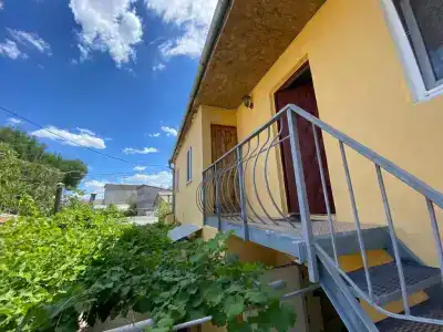 Лоза - 1