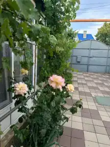 Гармония - 3