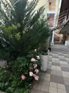 Гармония - 6