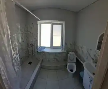 Сосны - 5