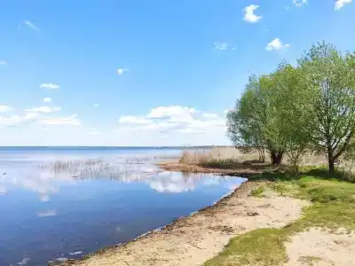 Ботик - 10