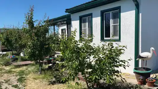 Немецкий Двор - 0
