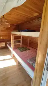 Три медведя - 60