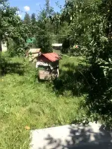 Серебряный ручей - 20