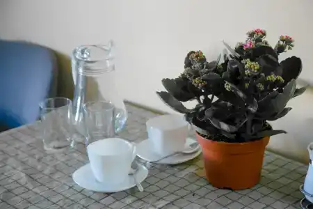 Сердце Ольхона - 76