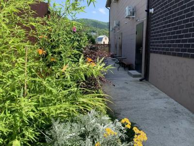 Три камня - 15