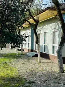 Милана - 3