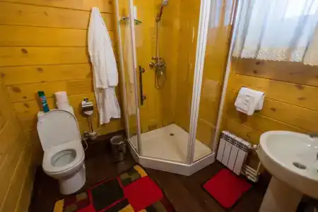Золото Алтая - 37