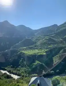 Пение птиц - 101