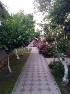 Камелия - 6