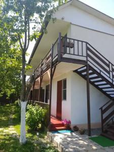 Камелия - 3