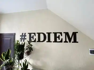 Едием - 6