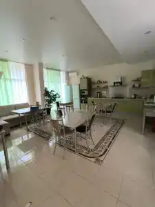 Эли - 1
