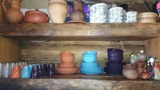 Веселый трутень - 5