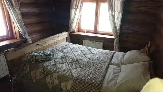 Веселый трутень - 6