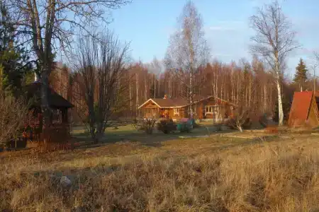 Веселый трутень - 11