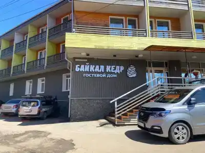 Байкал Кедр - 0