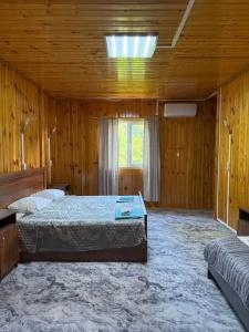 Радоновый источник - 53