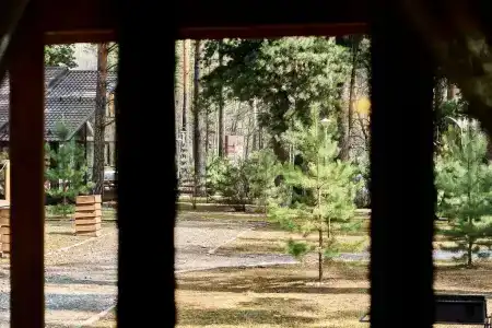 Алтай-Подгорица - 60