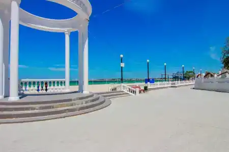 Розовый Фламинго - 0