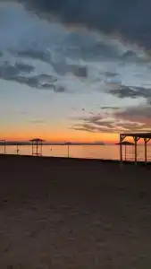 Розовый Фламинго - 2