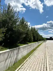 101 Рум - 5