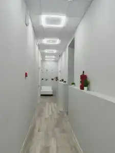 ЖивиТут - 6