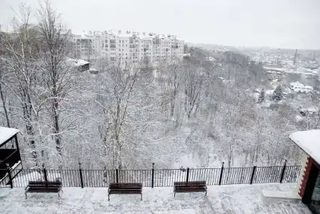 Смолка - 87