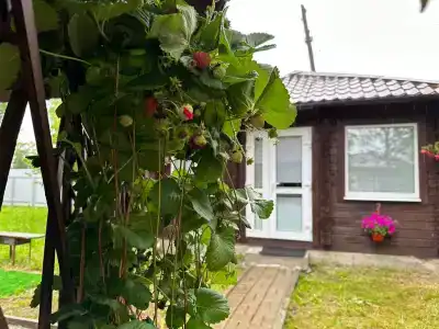 Усадьба - 1