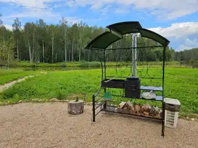 Веселый трутень - 15