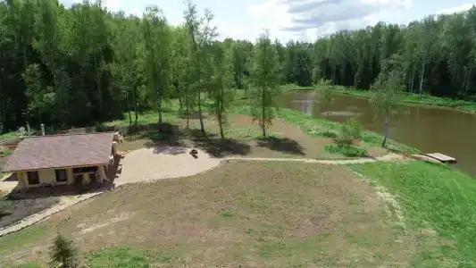 Веселый трутень - 18