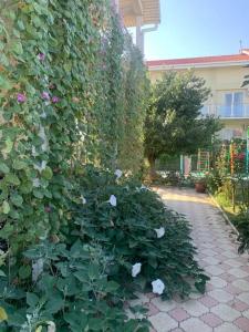 Заозёрный - 11