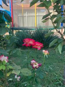 Заозёрный - 14